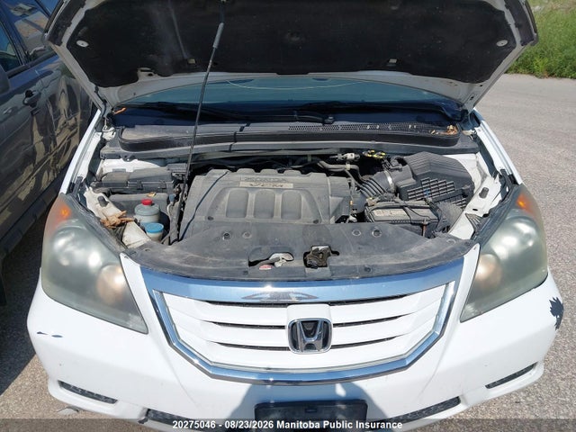 20275046 :رقم المزاد ، 5FNRL38698B500308 vin ، 2008 Honda Odyssey Ex-l مزاد بيع