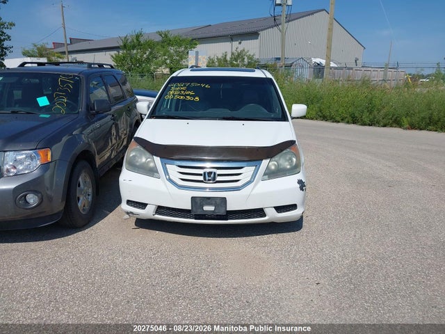 20275046 :رقم المزاد ، 5FNRL38698B500308 vin ، 2008 Honda Odyssey Ex-l مزاد بيع