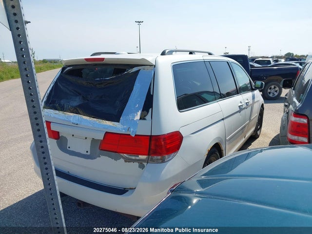 20275046 :رقم المزاد ، 5FNRL38698B500308 vin ، 2008 Honda Odyssey Ex-l مزاد بيع