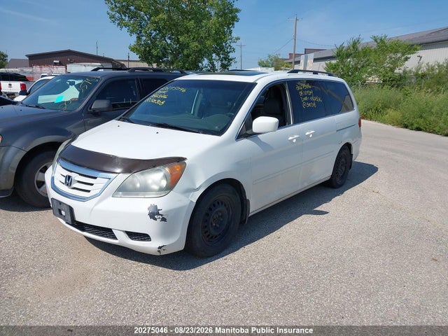 20275046 :رقم المزاد ، 5FNRL38698B500308 vin ، 2008 Honda Odyssey Ex-l مزاد بيع