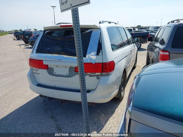 20275046 :رقم المزاد ، 5FNRL38698B500308 vin ، 2008 Honda Odyssey Ex-l مزاد بيع