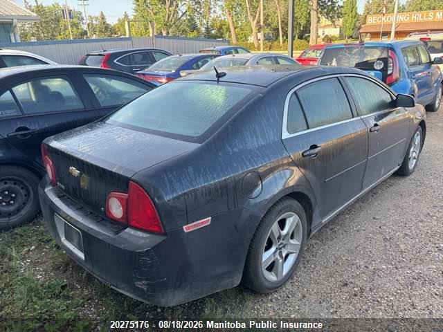 2008 Chevrolet Malibu Lt მანქანა იყიდება აუქციონზე, vin: 1G1ZH57B68F292386, აუქციონის ნომერი: 20275176