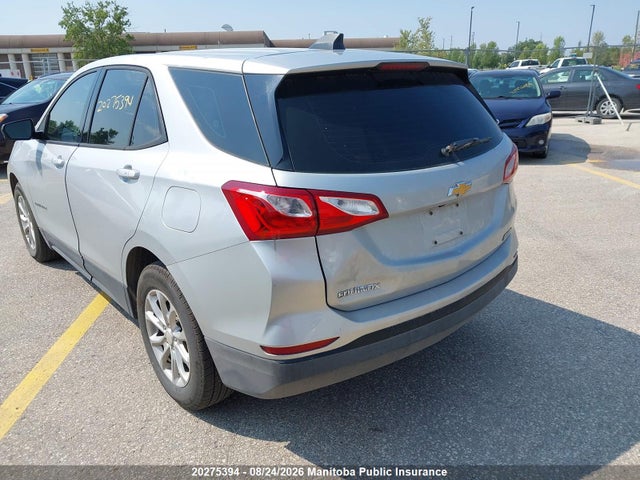 Chevrolet EQUINOX LS 2019 2GNAXHEV0K6195053 Image 3