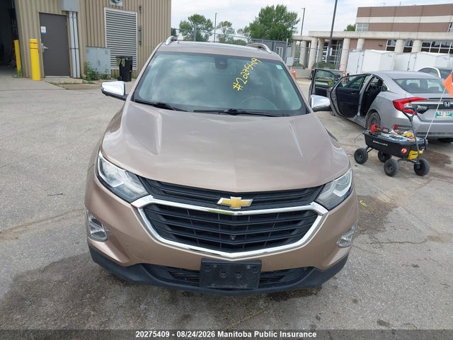 20275409 :رقم المزاد ، 2GNAXXEV2K6135558 vin ، 2019 Chevrolet Equinox Lt مزاد بيع