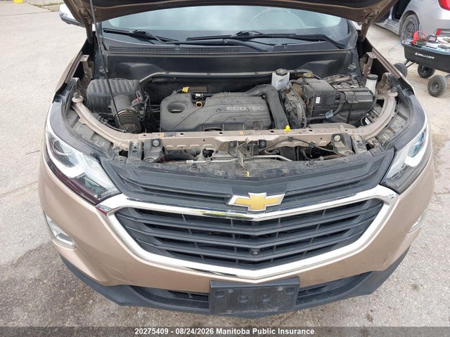 20275409 :رقم المزاد ، 2GNAXXEV2K6135558 vin ، 2019 Chevrolet Equinox Lt مزاد بيع