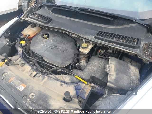 Ford ESCAPE SE 2014 1FMCU0GX3EUD34331 Image 10