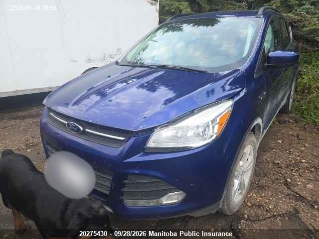 Ford ESCAPE SE 2014 1FMCU0GX3EUD34331 Image 2