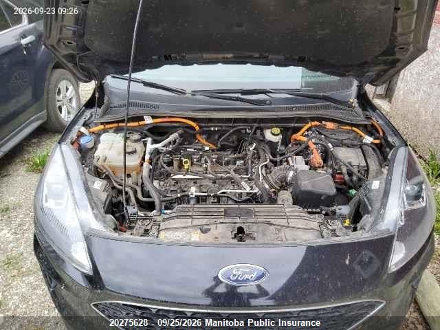 Aukcja sprzedaży 2022 Ford Escape Se Hybrid, vin: 1FMCU0EZ1NUB21298, numer aukcji: 20275628