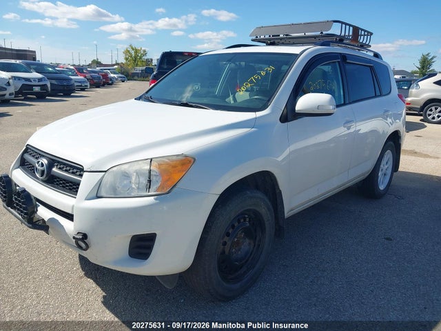 20275631 :رقم المزاد ، 2T3BF4DV4BW150213 vin ، 2011 Toyota Rav4 مزاد بيع