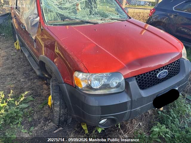 Продаж на аукціоні авто 2007 Ford Escape Xlt V6, vin: 1FMYU93187KA08888, номер лоту: 20275714