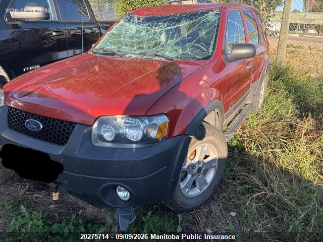 20275714 :رقم المزاد ، 1FMYU93187KA08888 vin ، 2007 Ford Escape Xlt V6 مزاد بيع