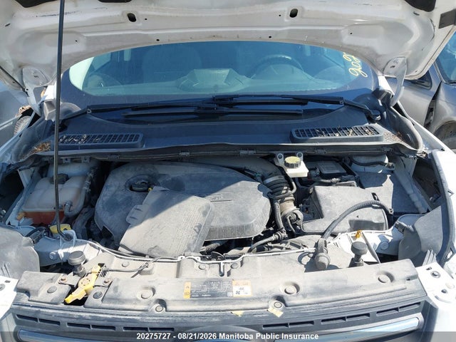 Ford ESCAPE SE 2014 1FMCU0GX6EUC95265 Image 10