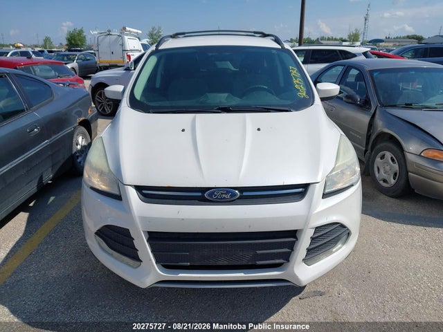 Ford ESCAPE SE 2014 1FMCU0GX6EUC95265 Image 12