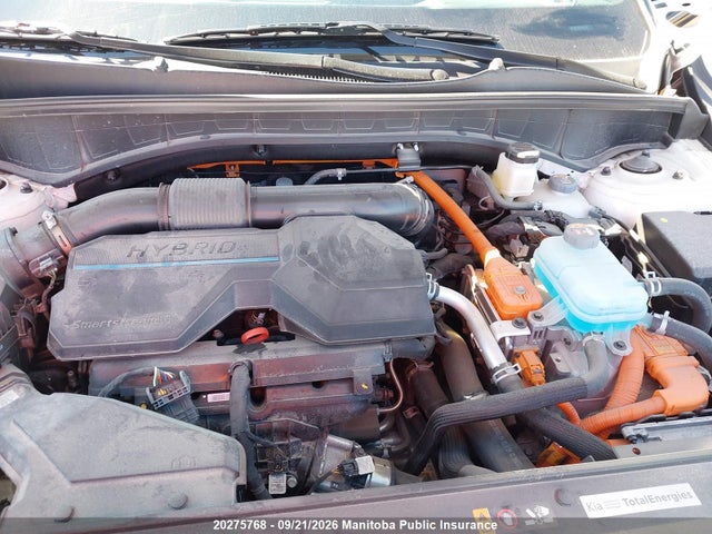 Aukcja sprzedaży 2025 Kia Sorento Sx Phev, vin: KNDRMDJH1S5387364, numer aukcji: 20275768