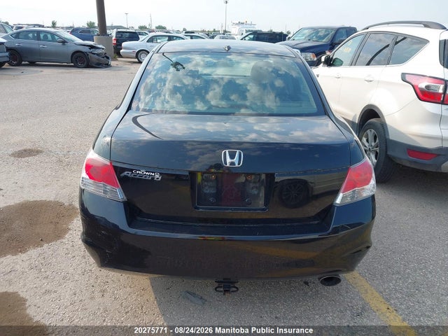 Продаж на аукціоні авто 2010 Honda Accord Ex-l, vin: 1HGCP2F83AA804517, номер лоту: 20275771