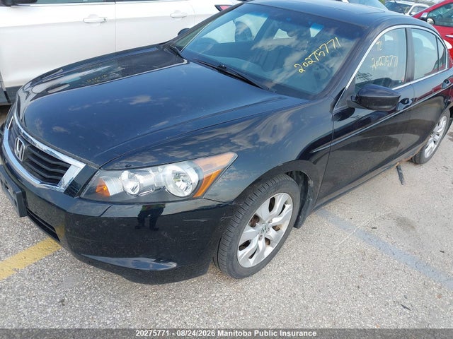 Продаж на аукціоні авто 2010 Honda Accord Ex-l, vin: 1HGCP2F83AA804517, номер лоту: 20275771