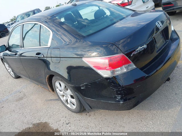 Продаж на аукціоні авто 2010 Honda Accord Ex-l, vin: 1HGCP2F83AA804517, номер лоту: 20275771