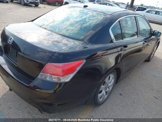 Продаж на аукціоні авто 2010 Honda Accord Ex-l, vin: 1HGCP2F83AA804517, номер лоту: 20275771