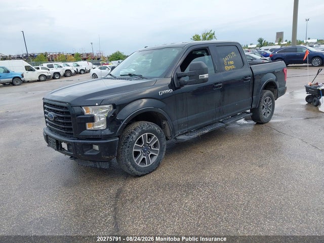 1FTEW1EF1HKD98231 Ford F150 Xlt Supercrew