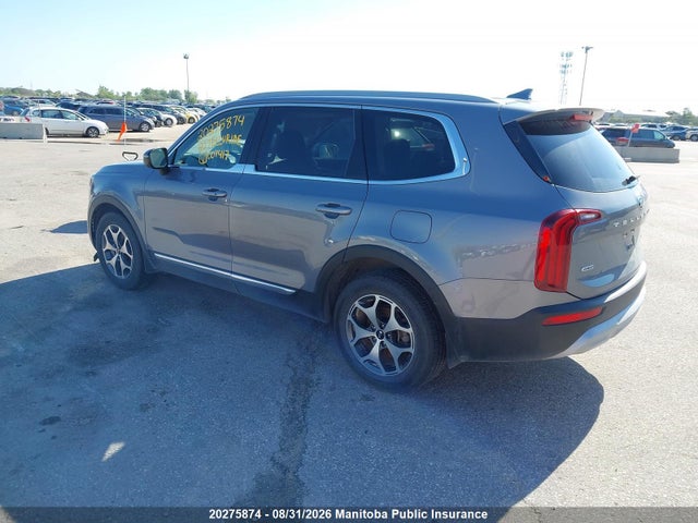 KIA Telluride Ex 2020 5XYP3DHC8LG007417 Image 3