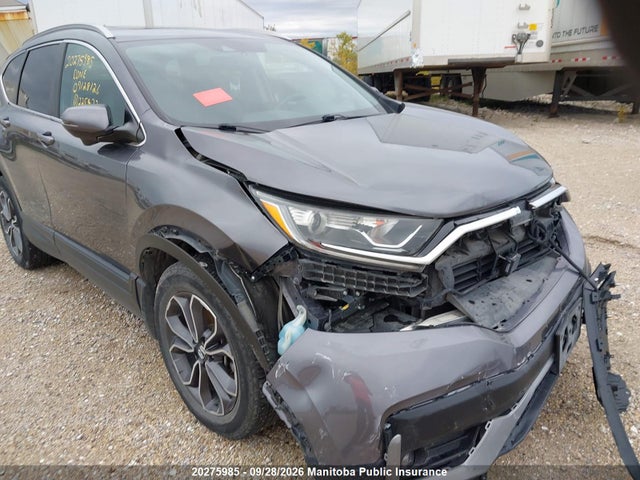 2020 Honda Cr-v Ex-l მანქანა იყიდება აუქციონზე, vin: 2HKRW2H89LH225472, აუქციონის ნომერი: 20275985