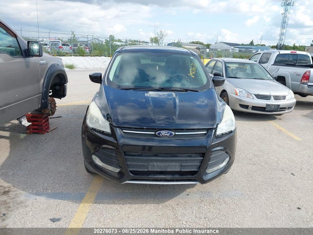 1FMCU0GX4EUB10386 Ford ESCAPE SE