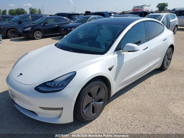 Продажа на аукционе авто 2020 Tesla Model 3 75d, vin: 5YJ3E1EB7LF733960, номер лота: 20276191