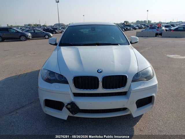 Продаж на аукціоні авто 2011 Bmw X6 M, vin: 5YMGZ0C52BLK14265, номер лоту: 20276281