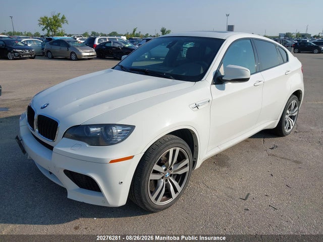 Продаж на аукціоні авто 2011 Bmw X6 M, vin: 5YMGZ0C52BLK14265, номер лоту: 20276281