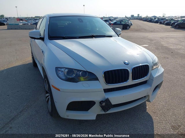 Продаж на аукціоні авто 2011 Bmw X6 M, vin: 5YMGZ0C52BLK14265, номер лоту: 20276281