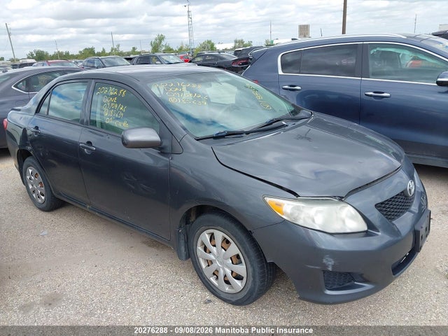 20276288 :رقم المزاد ، 2T1BU40E49C185639 vin ، 2009 Toyota Corolla S/le/xle مزاد بيع