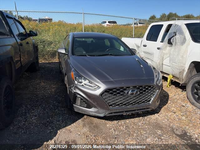 Hyundai Sonata Sport 2019 5NPE34AF3KH749243 Image 2