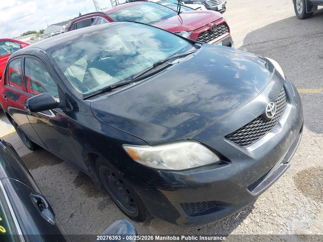 20276393 :رقم المزاد ، 2T1BU4EE7AC362732 vin ، 2010 Toyota Corolla Le مزاد بيع