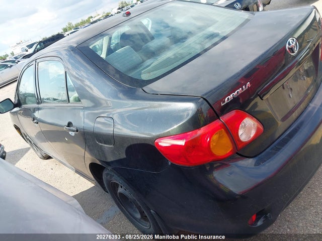 20276393 :رقم المزاد ، 2T1BU4EE7AC362732 vin ، 2010 Toyota Corolla Le مزاد بيع