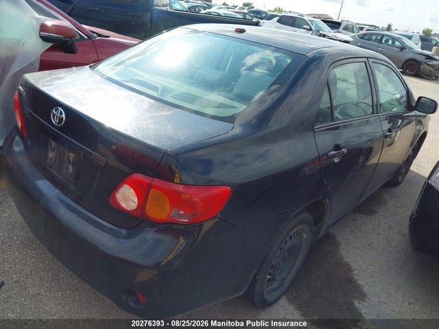 20276393 :رقم المزاد ، 2T1BU4EE7AC362732 vin ، 2010 Toyota Corolla Le مزاد بيع