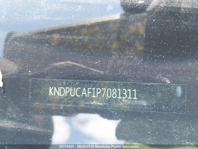 Auction sale of the 2023 Kia Sportage Lx, vin: KNDPUCAF1P7081311, lot number: 20276425