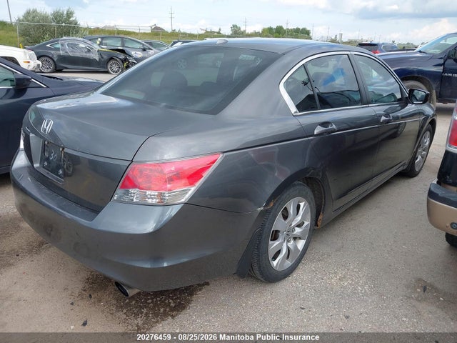 Aukcja sprzedaży 2010 Honda Accord Ex-l, vin: 1HGCP2F89AA804862, numer aukcji: 20276459
