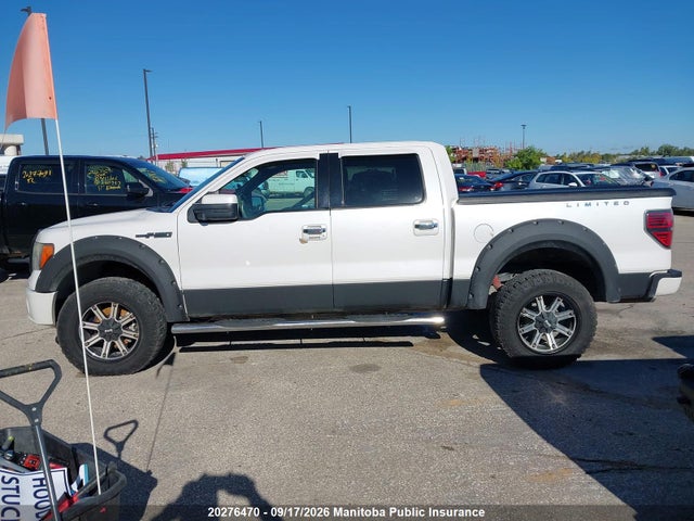 Aukcja sprzedaży 2011 Ford F150 Supercrew, vin: 1FTFW1E64BFA09294, numer aukcji: 20276470
