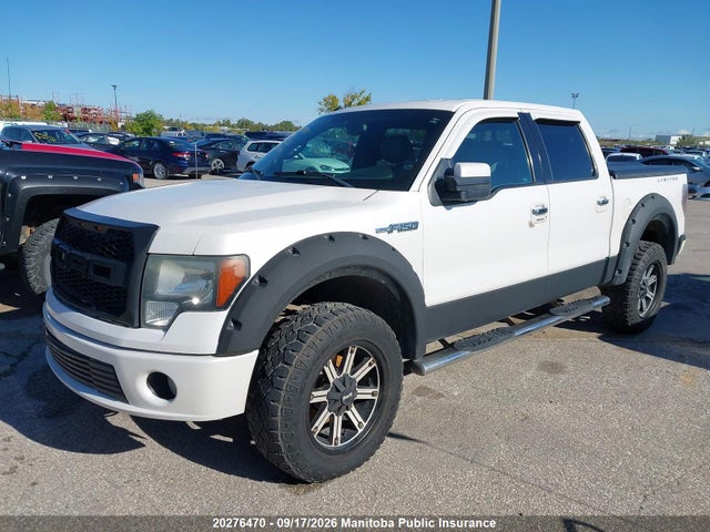 Aukcja sprzedaży 2011 Ford F150 Supercrew, vin: 1FTFW1E64BFA09294, numer aukcji: 20276470