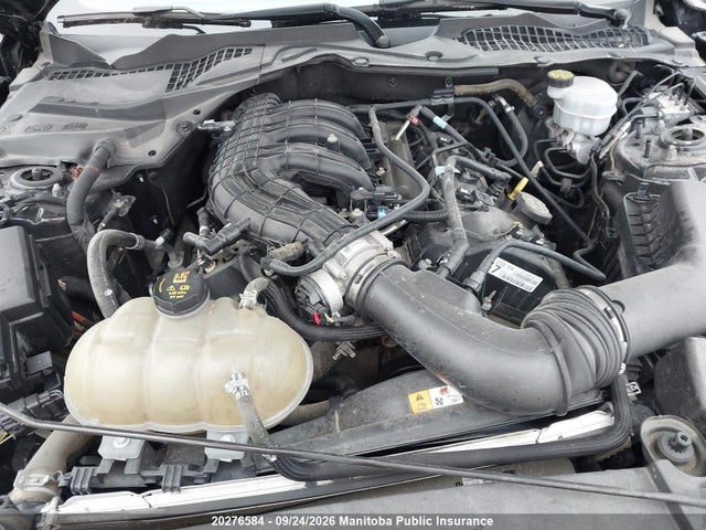 Ford Mustang 2017 1FA6P8AM8H5303442 Image 10