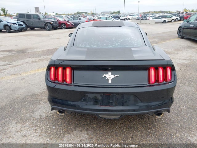 Ford Mustang 2017 1FA6P8AM8H5303442 Image 16