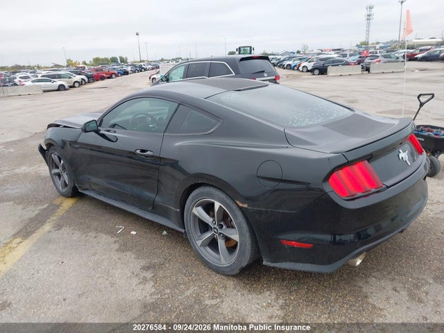 Ford Mustang 2017 1FA6P8AM8H5303442 Image 3