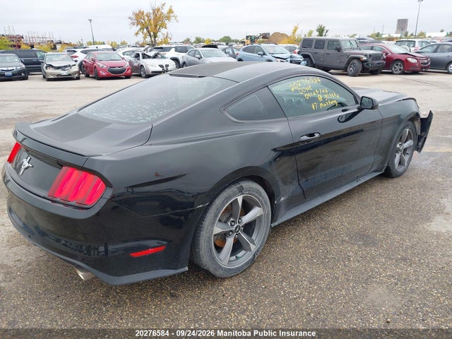Ford Mustang 2017 1FA6P8AM8H5303442 Image 4