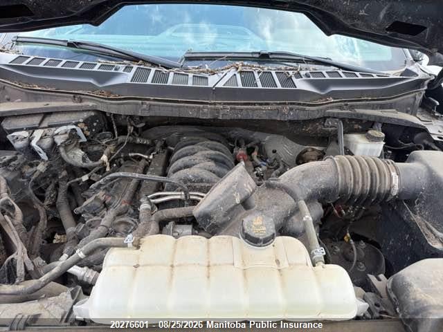 Ford F-Series 2023 1FTFW1E58PFB84436 Image 10