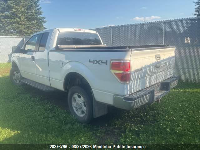 Продаж на аукціоні авто 2011 Ford F150 Xlt Supercab, vin: 1FTFX1EF5BFB12446, номер лоту: 20276796