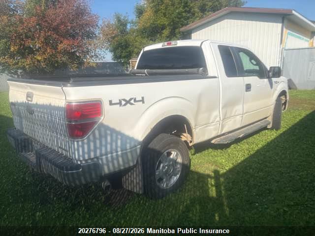 Продаж на аукціоні авто 2011 Ford F150 Xlt Supercab, vin: 1FTFX1EF5BFB12446, номер лоту: 20276796