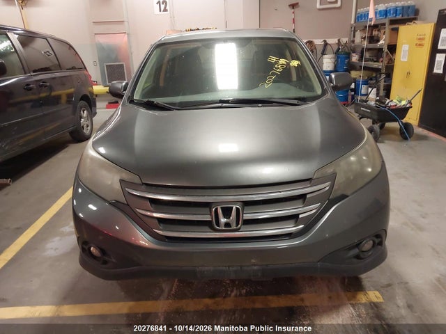 20276841 :رقم المزاد ، 2HKRM4H5XDH101039 vin ، 2013 Honda Cr-v Ex مزاد بيع