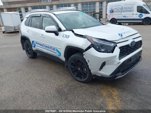 Auction sale of the 2024 Toyota Rav4 Se Hybrid, vin: 2T34WRFV0RW206600, lot number: 20276961