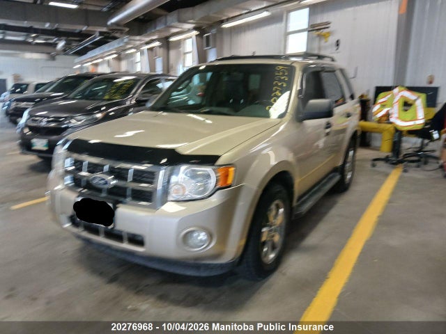 Auction sale of the 2010 Ford Escape Xlt, vin: 1FMCU9D74AKB26487, lot number: 20276968