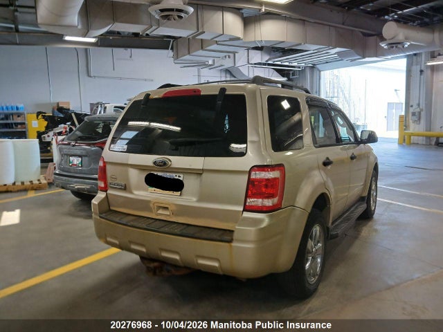 Auction sale of the 2010 Ford Escape Xlt, vin: 1FMCU9D74AKB26487, lot number: 20276968